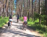 Rodzina na rowerach przemierza leśne **szlaki** w okolicach **Czorsztyna**. Słońce przebija się przez sosnowy las, tworząc malownicze cienie.