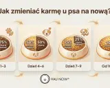 Grafika pokazuje stopniową zmianę karmy u psa: 25% nowej karmy przez 3 dni, potem 50/50, następnie 75% nowej karmy, aż do 100% nowej karmy od 10. dnia.