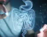 Mani che interagiscono con un modello 3D di stomaco e intestino, evidenziando la complessità della flora batterica.
