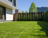 Un gazon vert et bien entretenu devant une maison moderne. Ce paysage donne envie de savoir quel gazon choisir pour un tel résultat.
