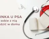 Biegunka u psa? Zestaw pierwszej pomocy z bandażem i stetoskopem, gotowy na domowe leczenie.