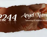 Anioł numer 2244 znaczenie. Sylwetka anioła i liczba 2244 na tle skrzydeł.