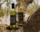 Dos botellas de aceite de oliva virgen extra Delpont, el mejor aceite del Matarraña, descansan sobre la rama de un olivo centenario.