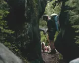 Wędrowiec z psem przemierza skalistą ścieżkę. W tle widać zalesione wzgórza, a całość przypomina malowniczą Lisia Przełęcz.