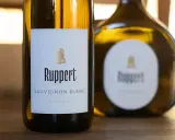 Zwei Flaschen Ruppert Sauvignon Blanc Réserve stehen nebeneinander.