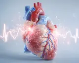 Anatomical heart with glowing ECG line. Czy migotanie przedsionków jest groźne? To pytanie zadaje sobie wiele osób.