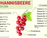 Rote Johannisbeeren sind gesund und reich an Vitaminen und Mineralstoffen. Sie enthalten Vitamin C, B-Vitamine, Kalium und Eisen.