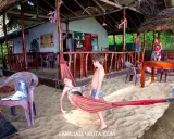 Niños disfrutan de una hamaca en una playa de Sri Lanka. Un paraíso tropical para familias.