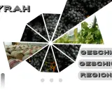 Syrah Traube: Dunkle Beeren, Weinreben, Fässer und die Worte "Geschmack", "Geschichte", "Regionen" erzählen von der Vielfalt dieser Rebsorte.