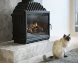 Kot siedzi obok nowoczesnego kominka, który zapewnia doprowadzenie powietrza do paleniska.