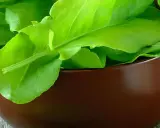Frische, grüne Sauerampferblätter in einer braunen Schale. Dieses Kraut ist bekannt dafür, dass Sauerampfer gesund ist und viele Vitamine enthält.