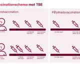 Schema för TBE-vaccination i Västerbotten. Grundvaccination och påfyllnadsdoser visas för olika åldrar.