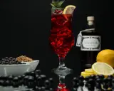 Ein erfrischender Sloe Gin Fizz mit Zitrone und Minze, umgeben von Schlehen und Wacholderbeeren.