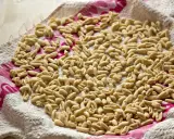 Pasta fresca fatta in casa, pronta per diventare uno dei piatti tipici molisani.