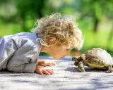 Dziecko z kręconymi blond włosami pochyla się nad żółwiem na zewnątrz.