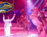 Arena der Attraktionen: Zirkus vs. Phantasialand - Was passt?