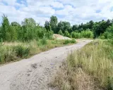 Piaszczysta droga przez zarośla, stos piasku i drzewa. Czy można wypowiedzieć służebność drogi w takim miejscu?