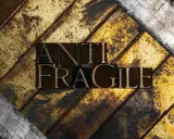 Lettere di metallo con la scritta "ANTI FRAGILE" su uno sfondo ruvido e dorato, simbolo di antifragilità e resilienza.