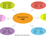Carte mentale illustrant les synonymes de "voir", classés par nuances : percevoir visuellement, regarder intensément, surveiller, imaginer/projeter, rencontrer/assister à, prendre conscience.