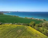 Grüne Felder und Rapsblüten vor der blauen Ostsee und Küstenlinie der Lübecker Bucht.
