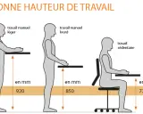 Illustration montrant la hauteur idéale pour le travail manuel léger (920 mm), le travail manuel lourd (850 mm) et le travail sédentaire (720 mm) pour une personne assise.