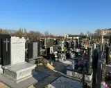 Wiele nagrobków na cmentarzu, niektóre ozdobione krzyżami i kwiatami.