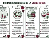 Différentes formes de vigne rouge : ampoules, gélules, poudre, tisane. Découvrez les bienfaits de la vigne rouge et comment la consommer.