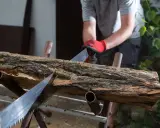 Pracownik w czerwonych rękawicach wykonuje przetarcie drewna piłą ręczną, przygotowując je do dalszej obróbki.