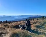 Piękna mogielica z psem odpoczywa na szczycie góry, podziwiając widok na kolejne pasma górskie w oddali.