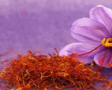 Fleur de crocus violette et stigmates rouges séchés. Une image pour comprendre comment cultiver le safran.