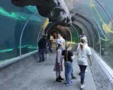 Orientarium Łódź: Największe oceanarium w Polsce? Co musisz wiedzieć!