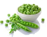 Des pois mange tout frais et verts, certains dans une écale ouverte, d'autres dans un bol blanc.
