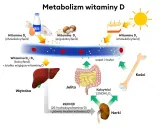 Witamina D3 na co pomaga? Wzmocnienie kości, prawidłowy metabolizm wapnia i fosforu, wsparcie dla jelit i nerek.
