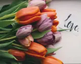 Bukiet pomarańczowych i fioletowych tulipanów z kartką "love". Przypomnienie, jak być dobrym dla siebie.