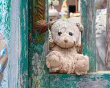 Orsacchiotto logoro tra assi scrostate, un'immagine che evoca la psicosi infantile e la perdita dell'innocenza.