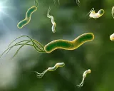 Micrografía de bacterias Helicobacter pylori con flagelos, con luz brillante en la esquina superior izquierda.