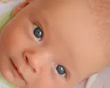 Occhi azzurri di neonato, pelle chiara, con un leggero alone giallo ittero che non preoccupa.