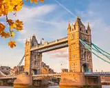 Tower Bridge w Londynie w jesiennym słońcu z liśćmi klonu na pierwszym planie.