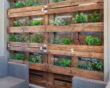 Jardín vertical con palets, lleno de plantas verdes y flores de colores, creando un oasis natural en la pared.