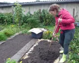 Frau bearbeitet mit Spaten und Harke Erde auf einem Beet, das mit Pappe gegen Unkraut geschützt ist.