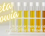 Paleta zdrowia: od jasnego do ciemnego żółty mocz w probówkach pokazuje, co dzieje się w organizmie.