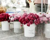Dzień Kobiet: Jakie kwiaty wybrać? Klasyka, trendy, symbolika
