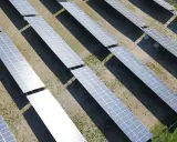 En stor solcellspark tar form. Solpaneler i rader fångar solens energi för att starta en grön framtid.