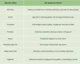 Tabela podpowiada, co sadzić obok cebuli: marchew, truskawki, pomidor, koper, warzywa kapustne, mięta, nagietek.