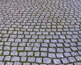 Szara kostka granitowa ułożona na ścieżce, z widocznym zielonym mchem między kamieniami. Fugowanie kostki granitowej suchym betonem zapewnia trwałość nawierzchni.