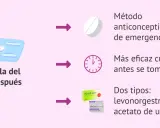 La pastilla del día después es un método anticonceptivo oral de emergencia. Es más eficaz cuanto antes se tome. Hay dos tipos: levonorgestrel o acetato de ulipristal.