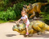 Świętokrzyskie: Co zobaczyć? Od Łysicy po dinozaury! Planuj wyjazd