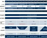 Diagramm zeigt, wie anaerobes Training altersabhängig gestaltet wird, mit Fokus auf die Verbesserung der anaeroben Ausdauer.