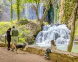 ¿Qué hacer cerca de Zaragoza? Escapadas de día y fin de semana