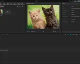 Photoshop: Usuwanie tła od AI po Pióro Opanuj każdą metodę